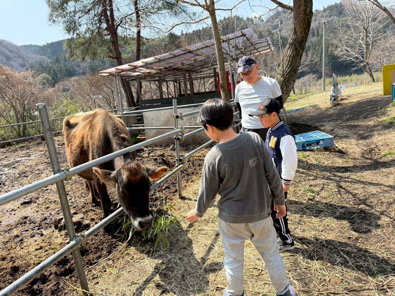里山の牛とふれあう子どもたち